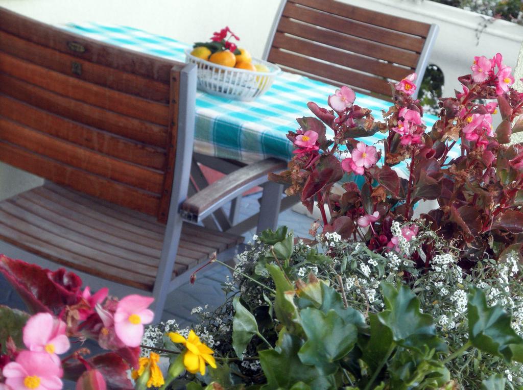 Grebaštica Apartmani Delfin מראה חיצוני תמונה